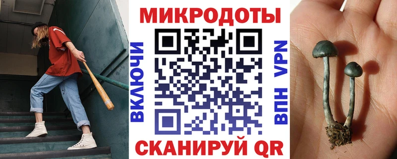 blacksprut как войти  Котельники  Галлюциногенные грибы MAGIC MUSHROOMS 